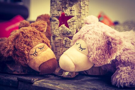 Sleep rest togetherness