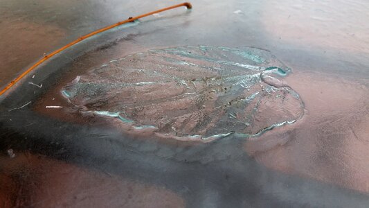 Footprint drawing winter