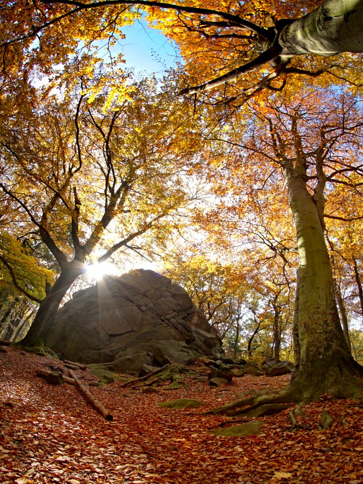 Sun stone nature