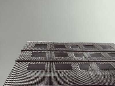 Wood window architecture
