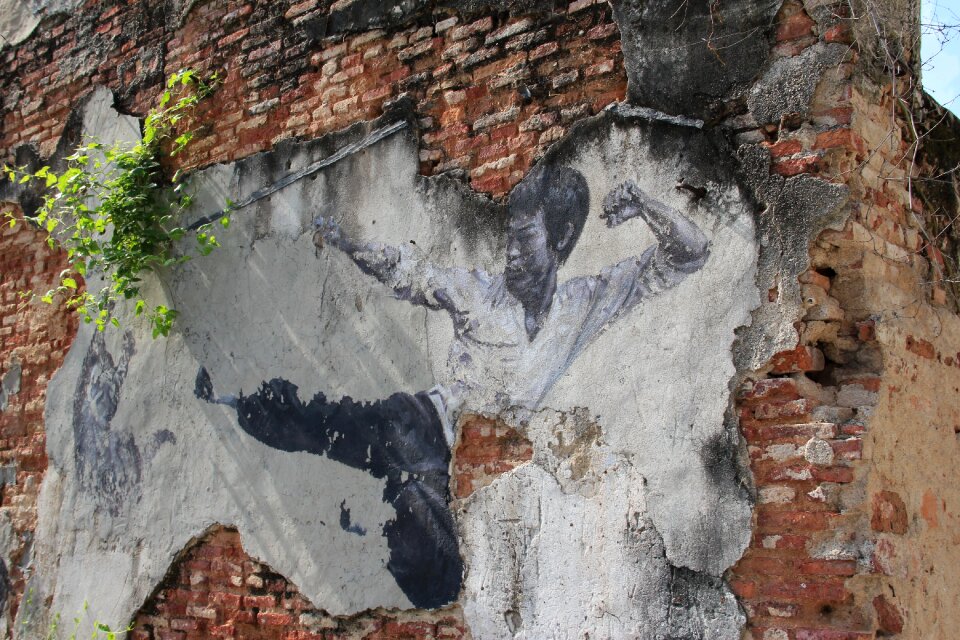 Bruce lee georgetown mural