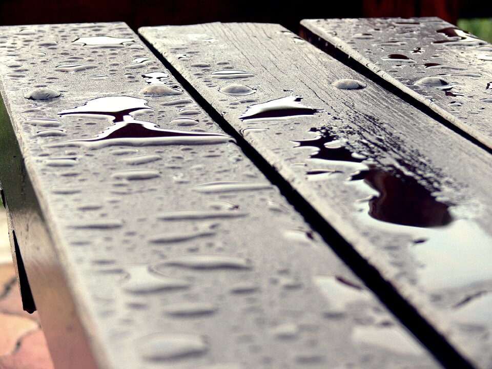 Drops macro wood