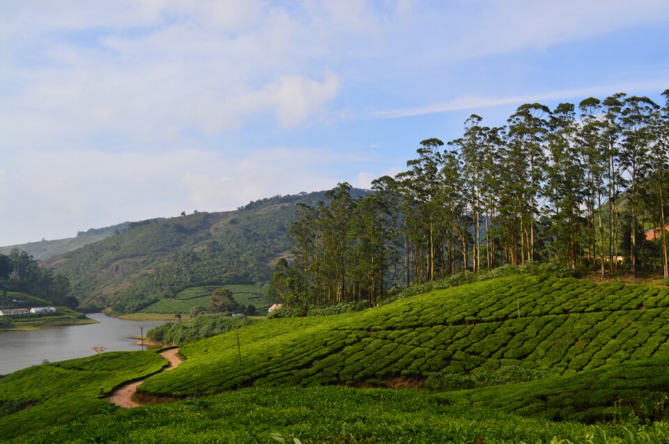 Hill station climate cool
