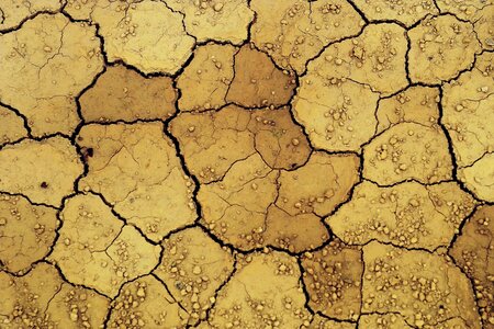Mode desert texture