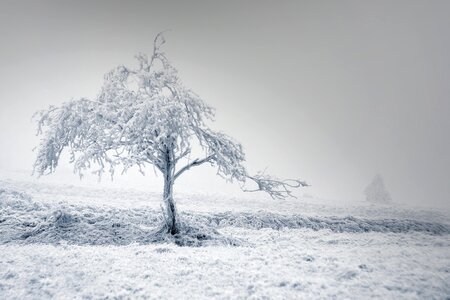 Frost snow m42