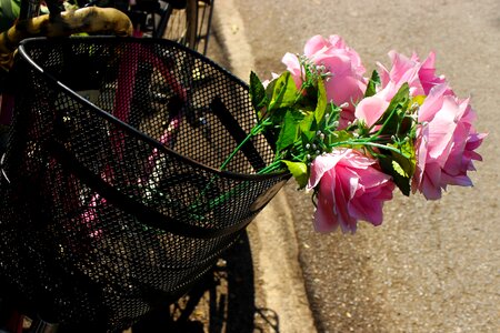 Blossom design romantic photo