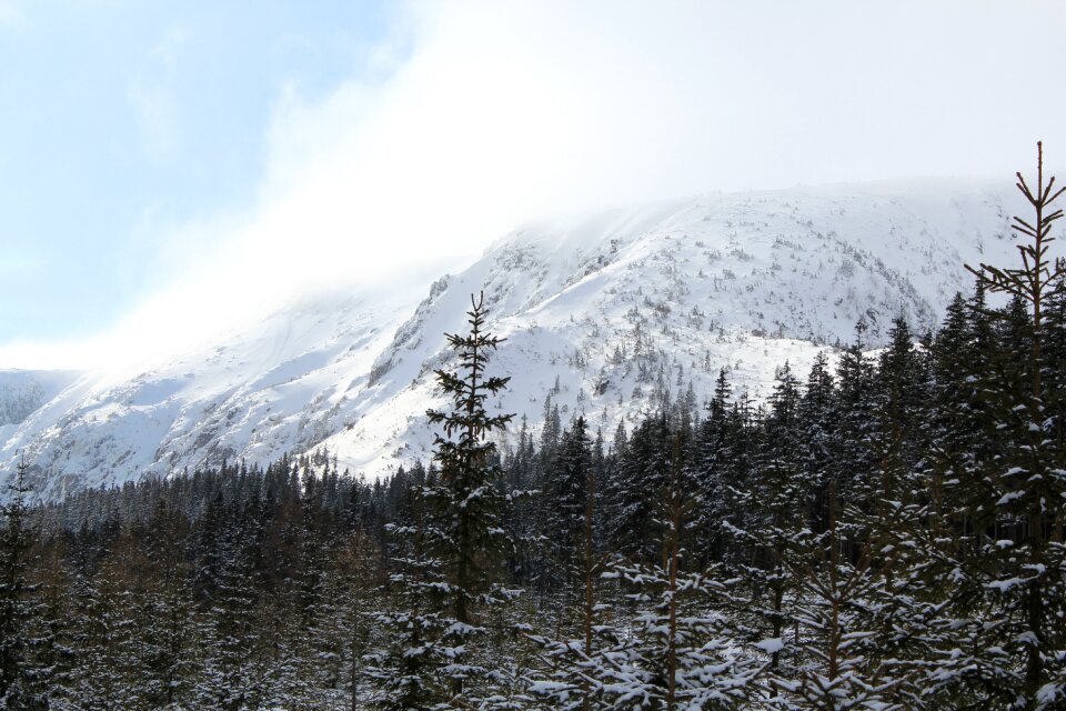 Hiking trails snow tree photo