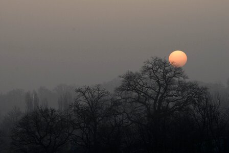 Cold morning nature
