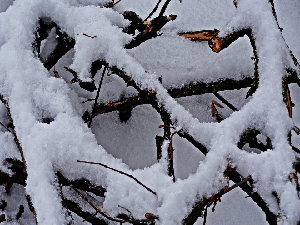Biel december precipitation
