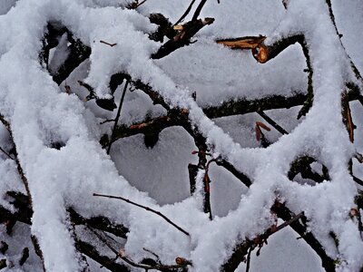 Biel december precipitation