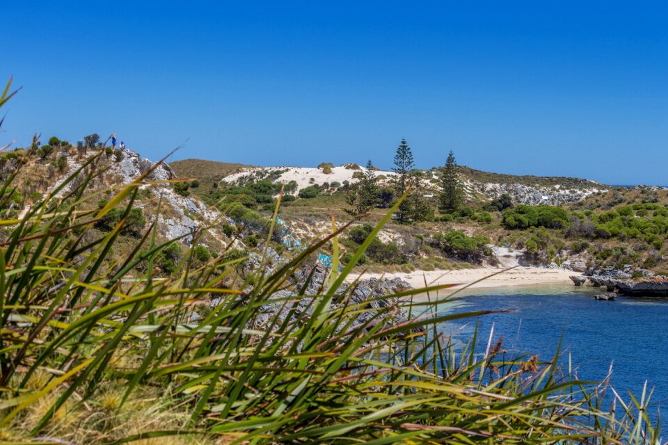 Wadjemup australia west australia