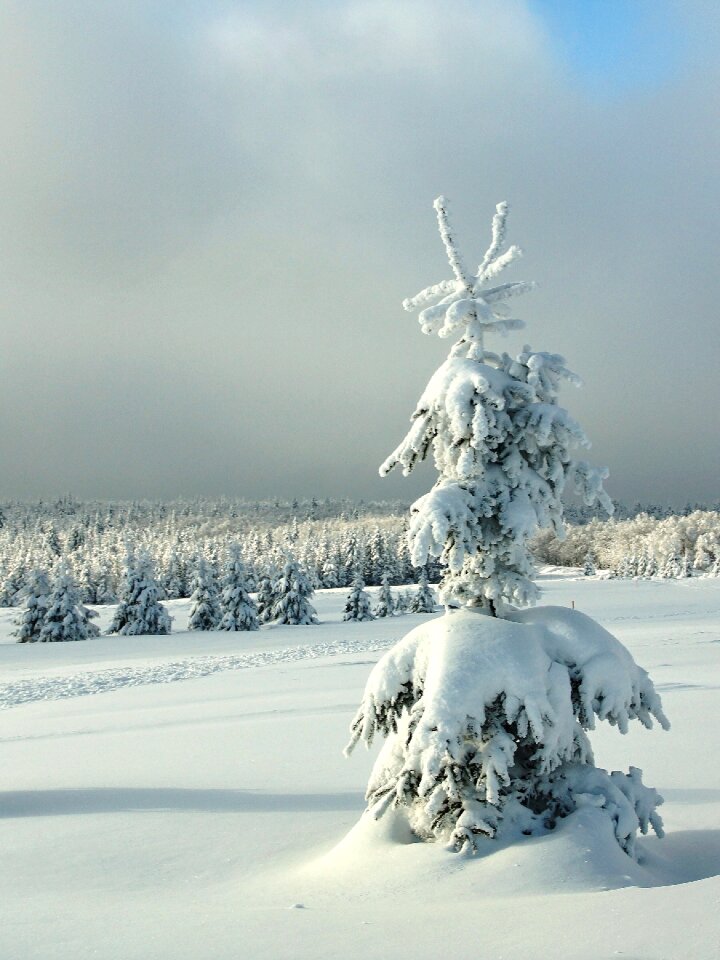 Mountains the ore mountains czech republic