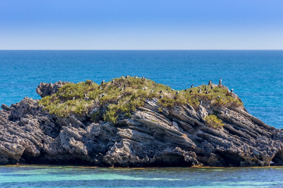 Wadjemup australia west australia