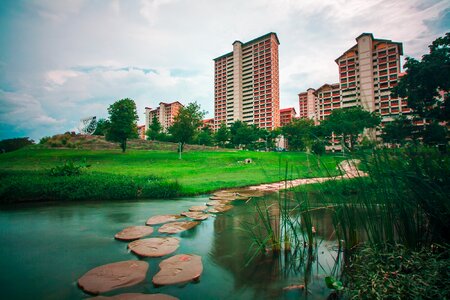 Pond singapore nature photo