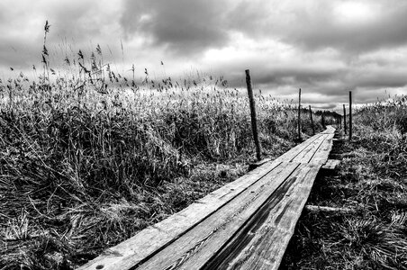 Nature wooden walkway