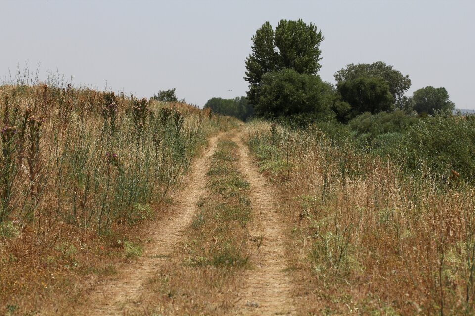 Nature trail field