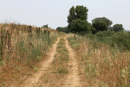 Nature trail field