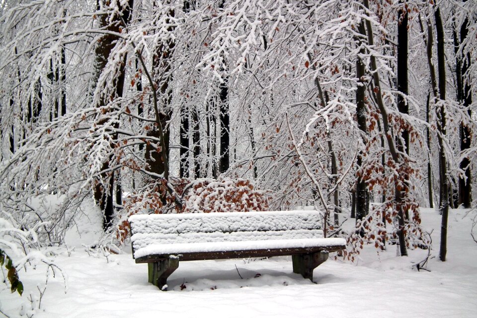Hertogenwald snow bench