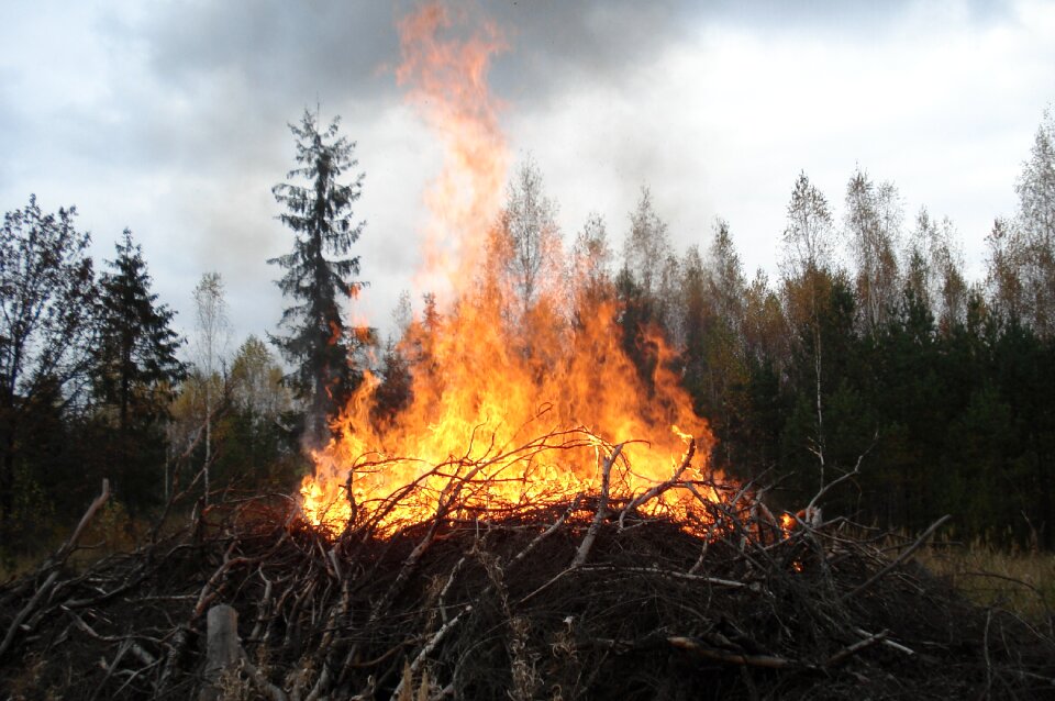 Wildlife flame koster