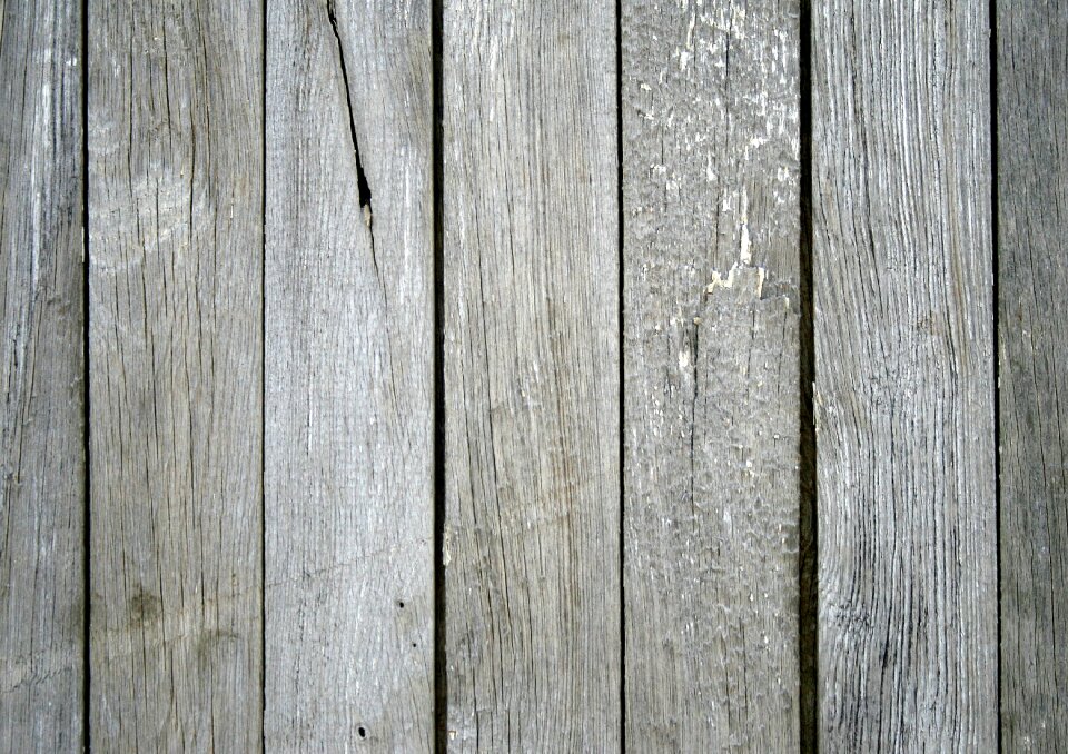 Jars trunk tree texture