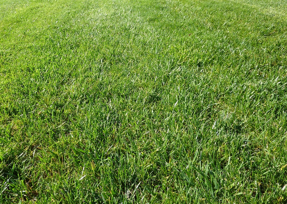 Outside outdoor background