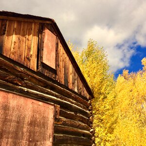 Autumn rural leaves