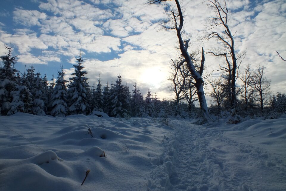 Winter evening trail