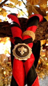 Black parra autumn