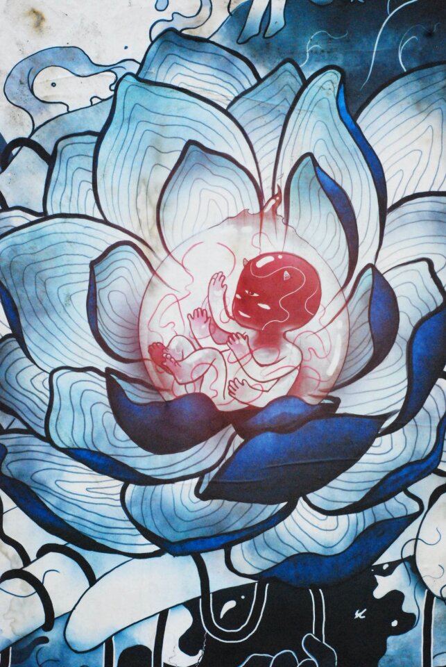 Floral plant nature