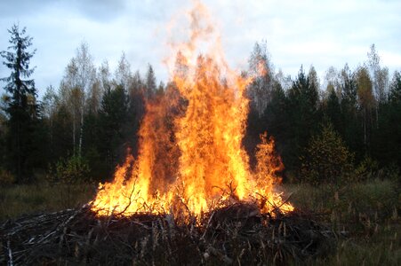 Wildlife flame koster