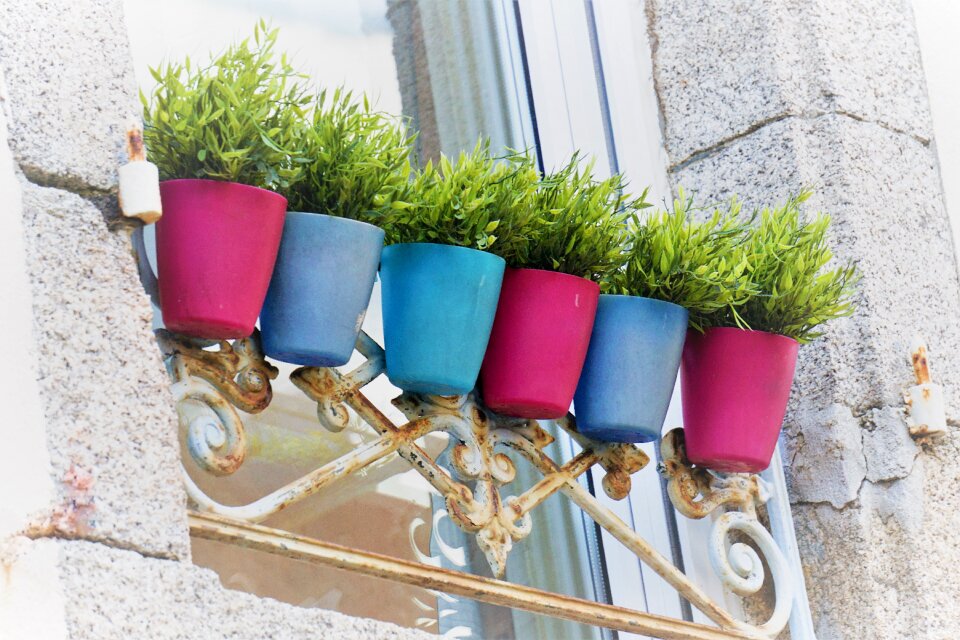 Window terracotta plants