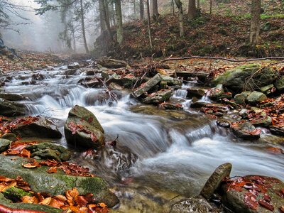 Stream the stones torrent photo