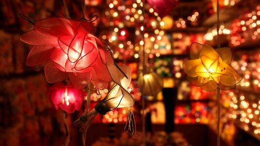 Lights flowers lamps