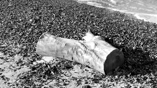 Beaches sea signs photo