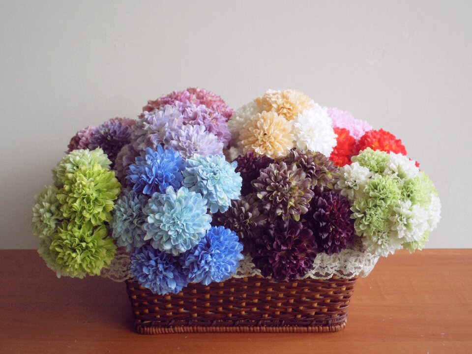 Bloom accessories