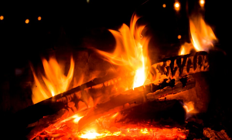 Burn beautiful flame log fire photo