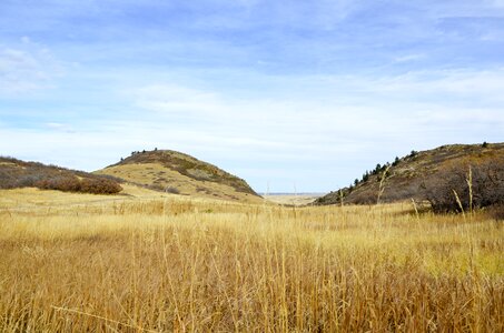 Field landscape dry