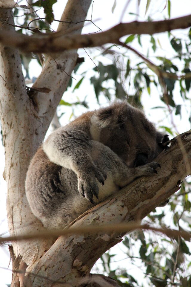 Cute nap adorable