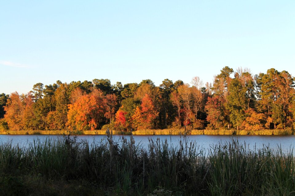 Fall lake park