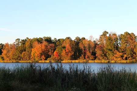 Fall lake park photo