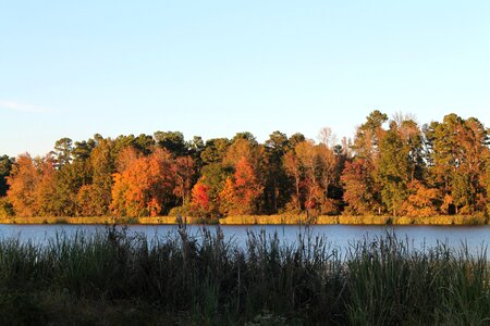 Fall lake park