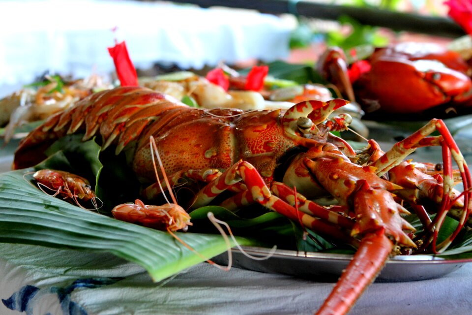 Flat crustacean fishing