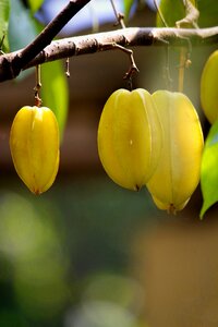 Organic food healthy