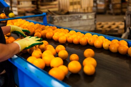 Production packing work