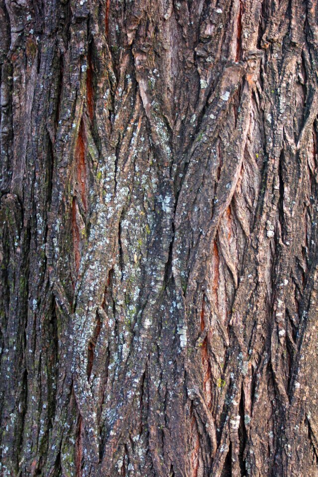 Dry life aging