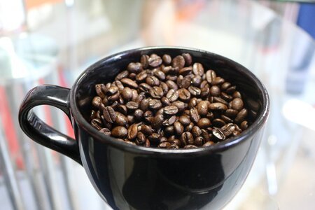 Coffee coffee bean coffee mug photo