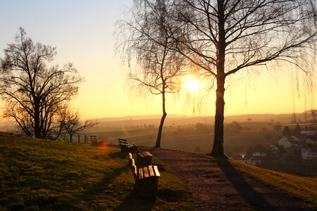 Light backlighting evening photo