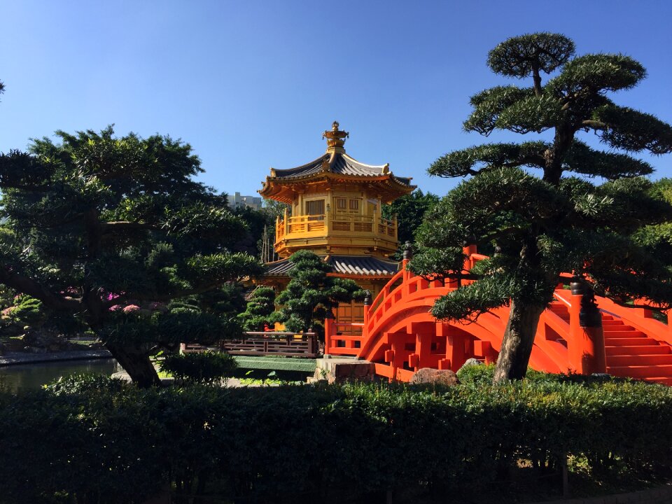 Hongkong chi lin nunnery peaceful