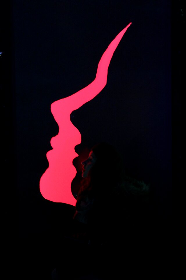 Winter lights palmengarten silhouette skull