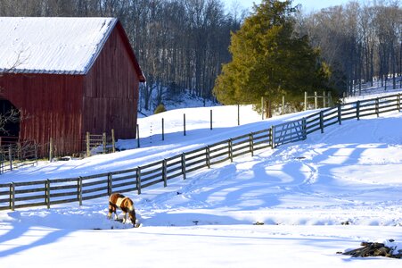 Field rural snow photo